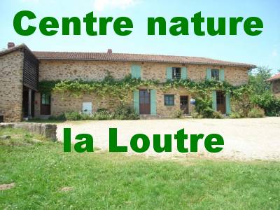 Logo Limousin Nature Environnement